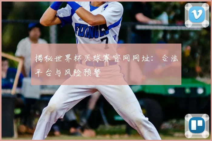 揭秘世界杯买球赛官网网址：合法平台与风险预警