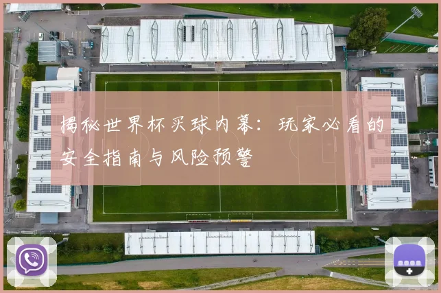 揭秘世界杯买球内幕：玩家必看的安全指南与风险预警