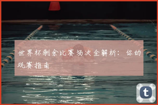 世界杯剩余比赛场次全解析:你的观赛指南