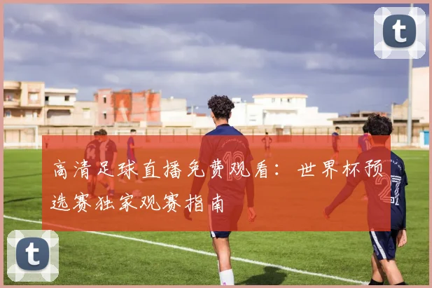 高清足球直播免费观看：世界杯预选赛独家观赛指南