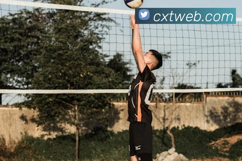 奇异果官网登录入口品牌故事