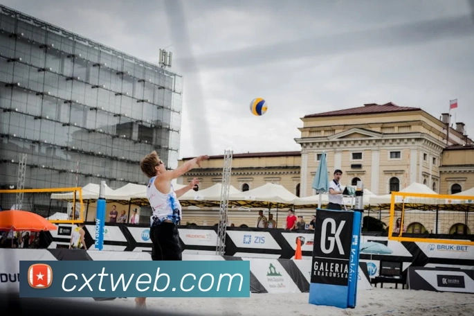 奇异果官网登录入口服务体系